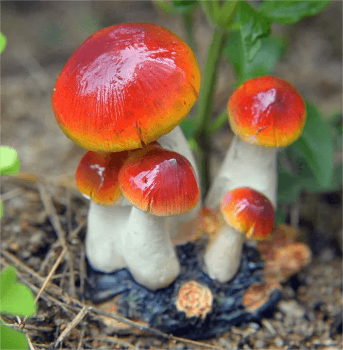 Small Mushroom Decoration Garden Art Resin Artifact - Humble Mushrooms