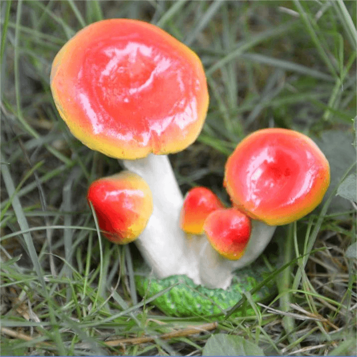 Small Mushroom Home Decoration Garden Art Resin Artifact - Humble Mushrooms