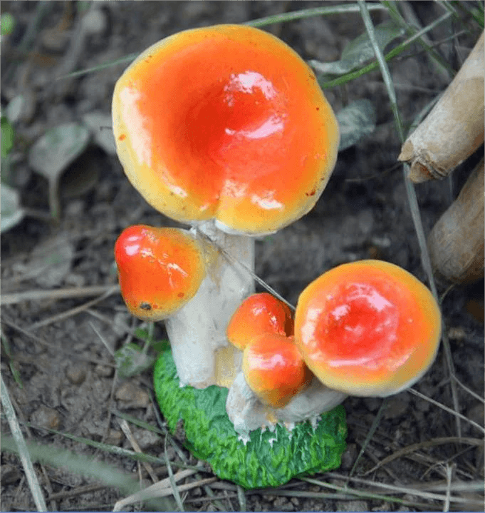 Small Mushroom Home Decoration Garden Art Resin Artifact - Humble Mushrooms