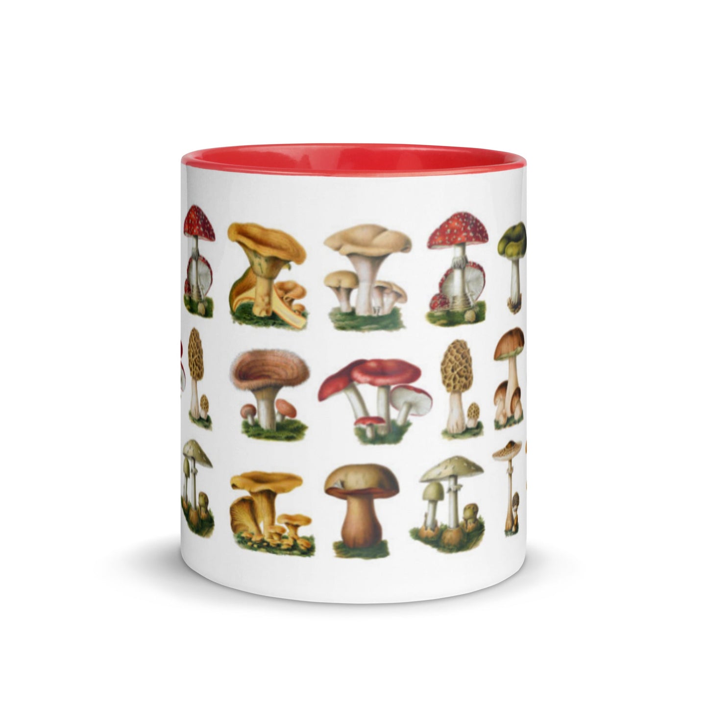Colorful Mushrooms Mug - Humble Mushrooms