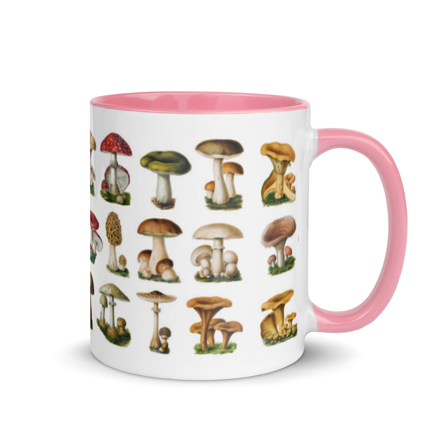 Colorful Mushrooms Mug - Humble Mushrooms