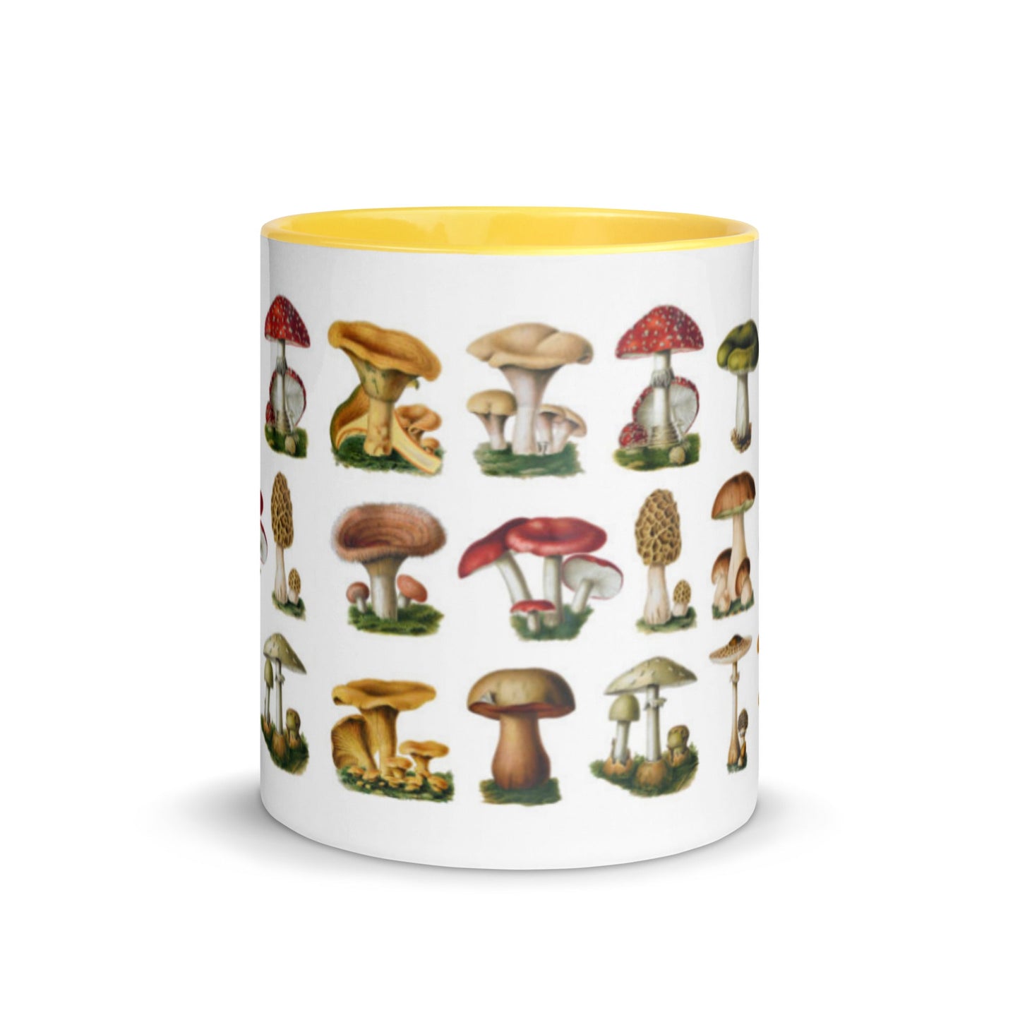 Colorful Mushrooms Mug - Humble Mushrooms