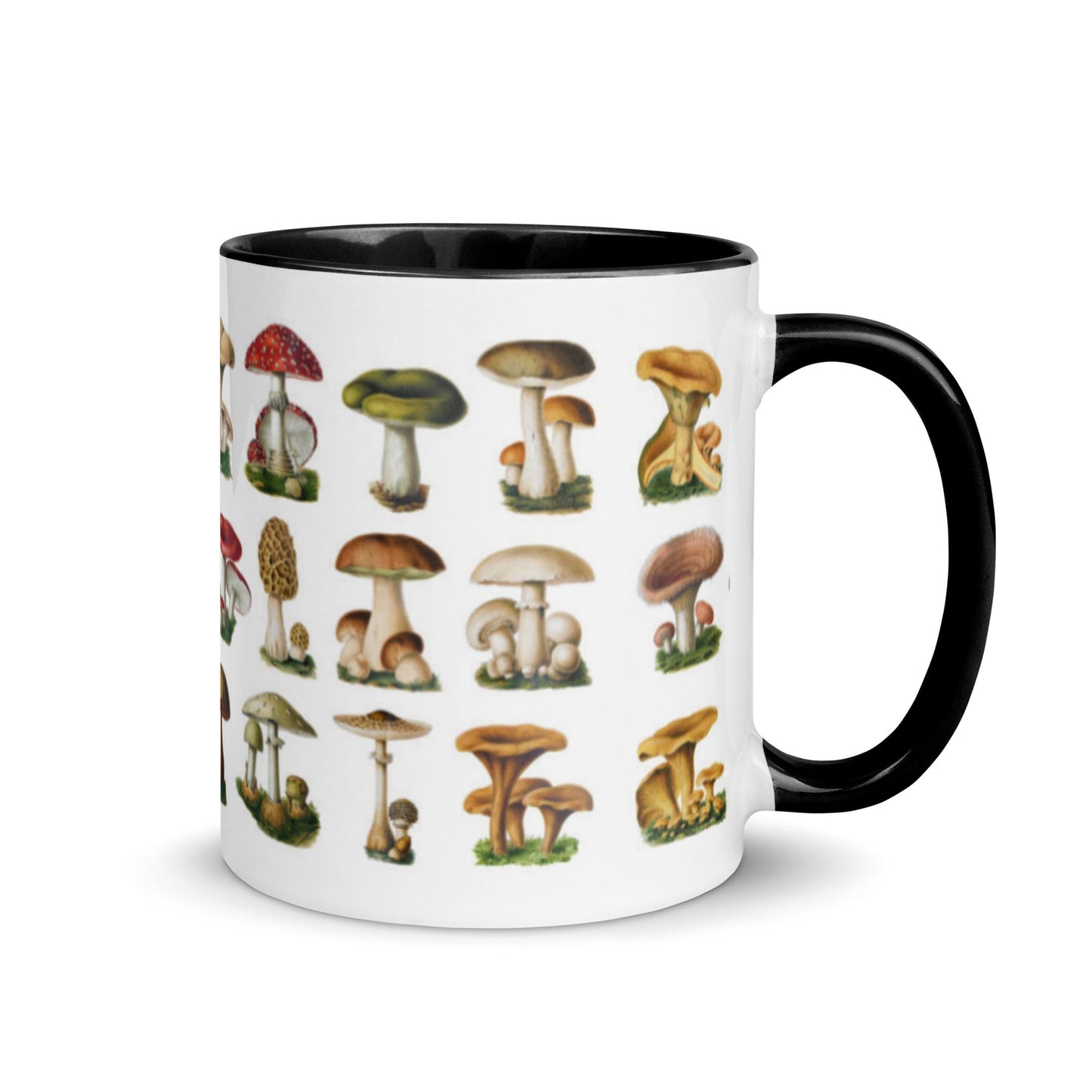 Colorful Mushrooms Mug - Humble Mushrooms