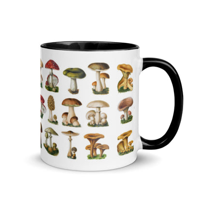 Colorful Mushrooms Mug - Humble Mushrooms