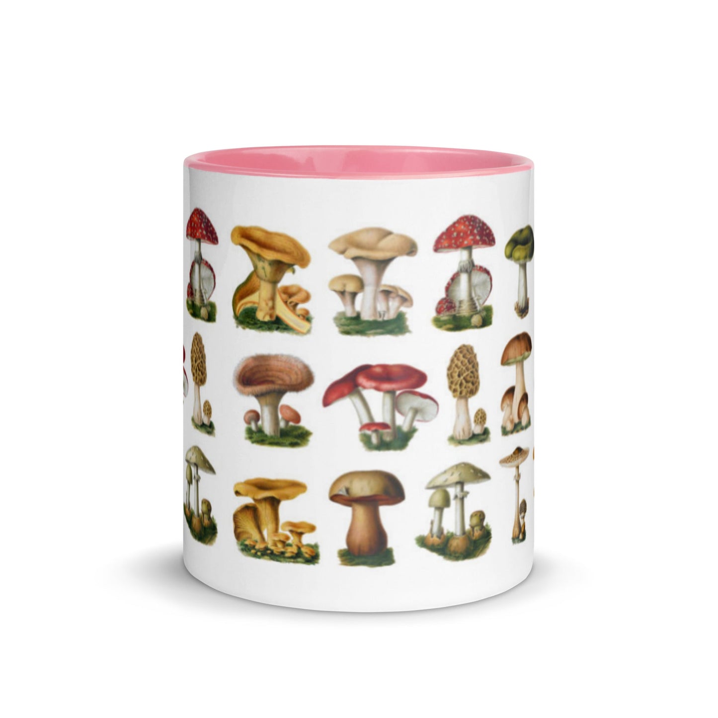 Colorful Mushrooms Mug - Humble Mushrooms