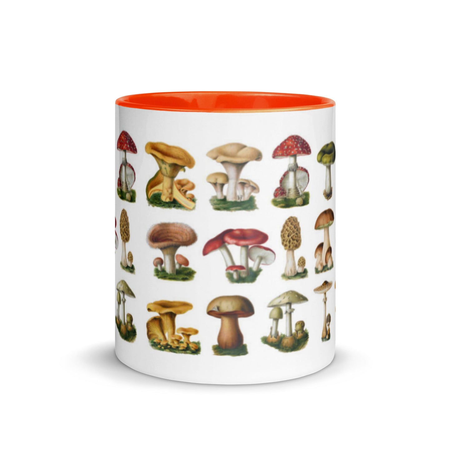Colorful Mushrooms Mug - Humble Mushrooms