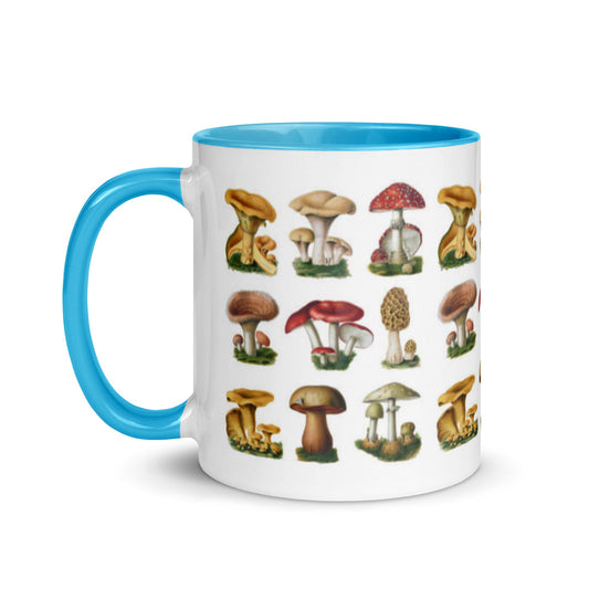 Colorful Mushrooms Mug - Humble Mushrooms