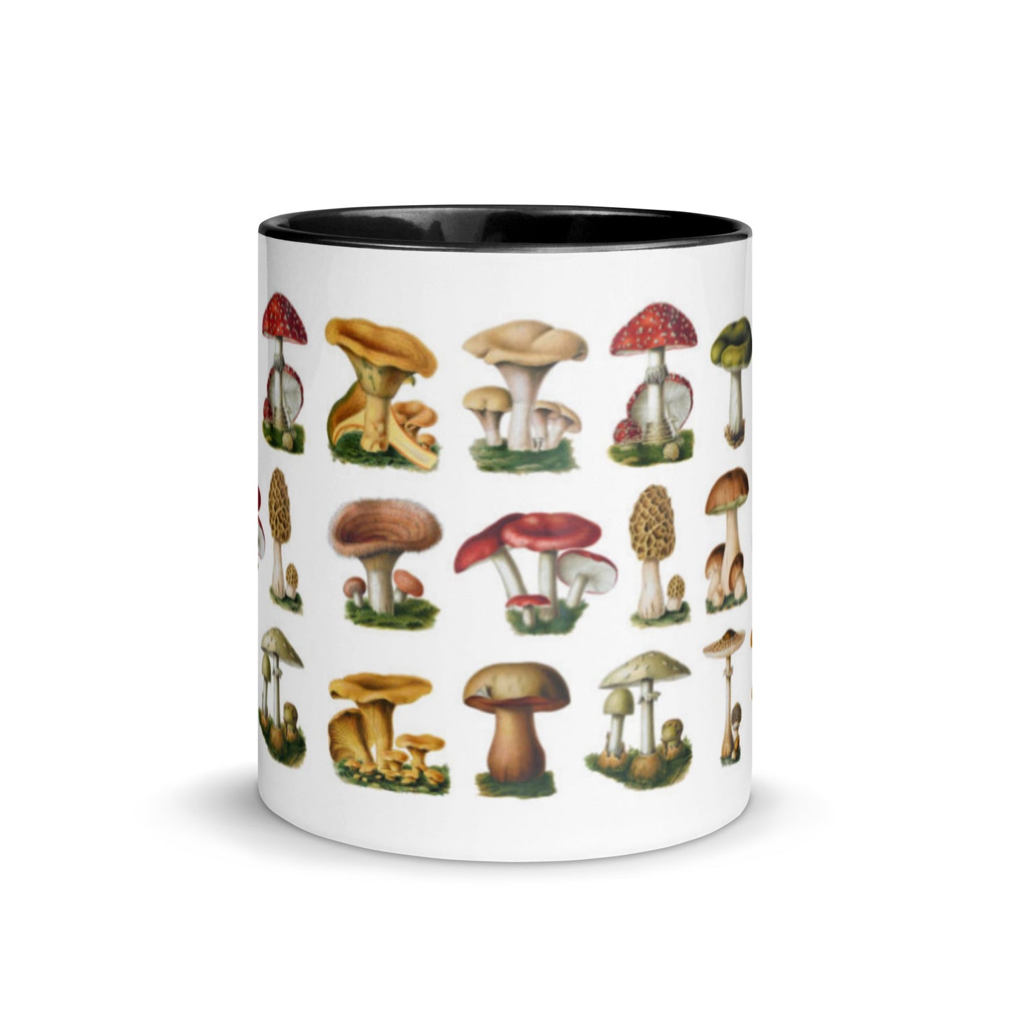 Colorful Mushrooms Mug - Humble Mushrooms