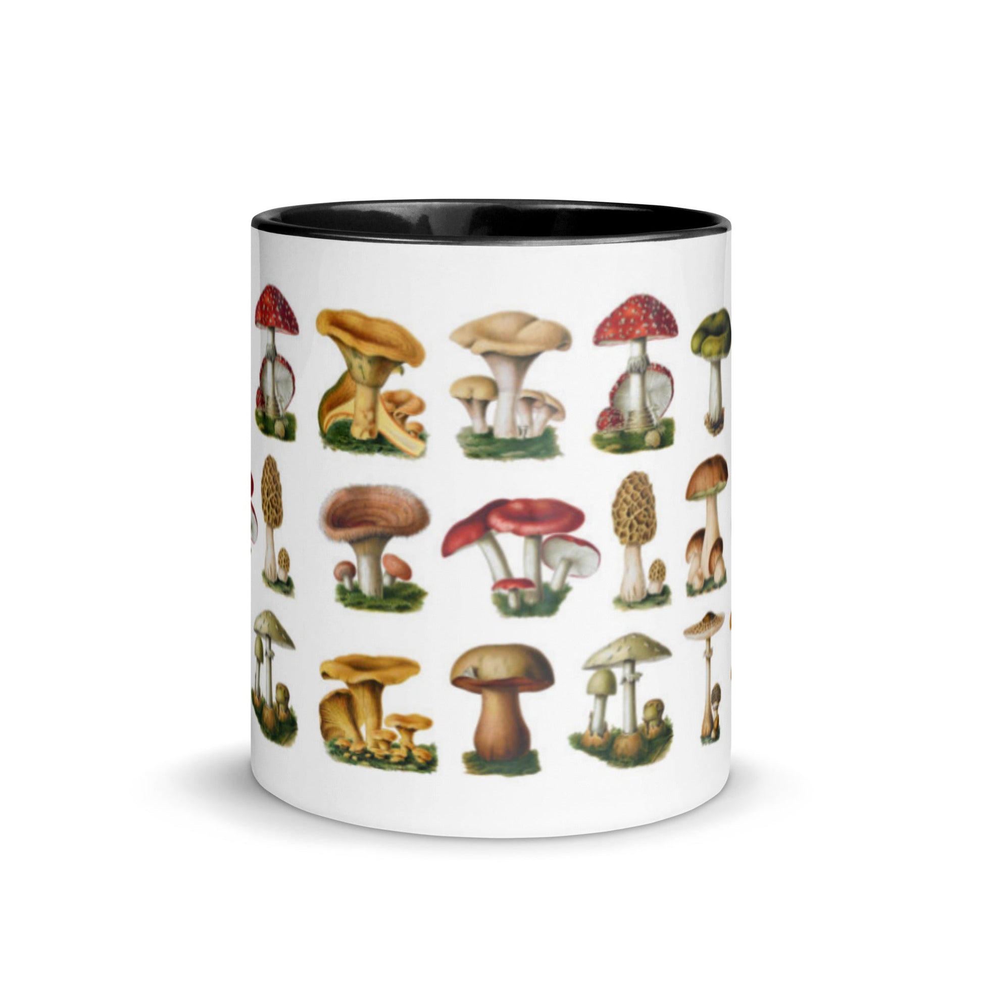 Colorful Mushrooms Mug - Humble Mushrooms