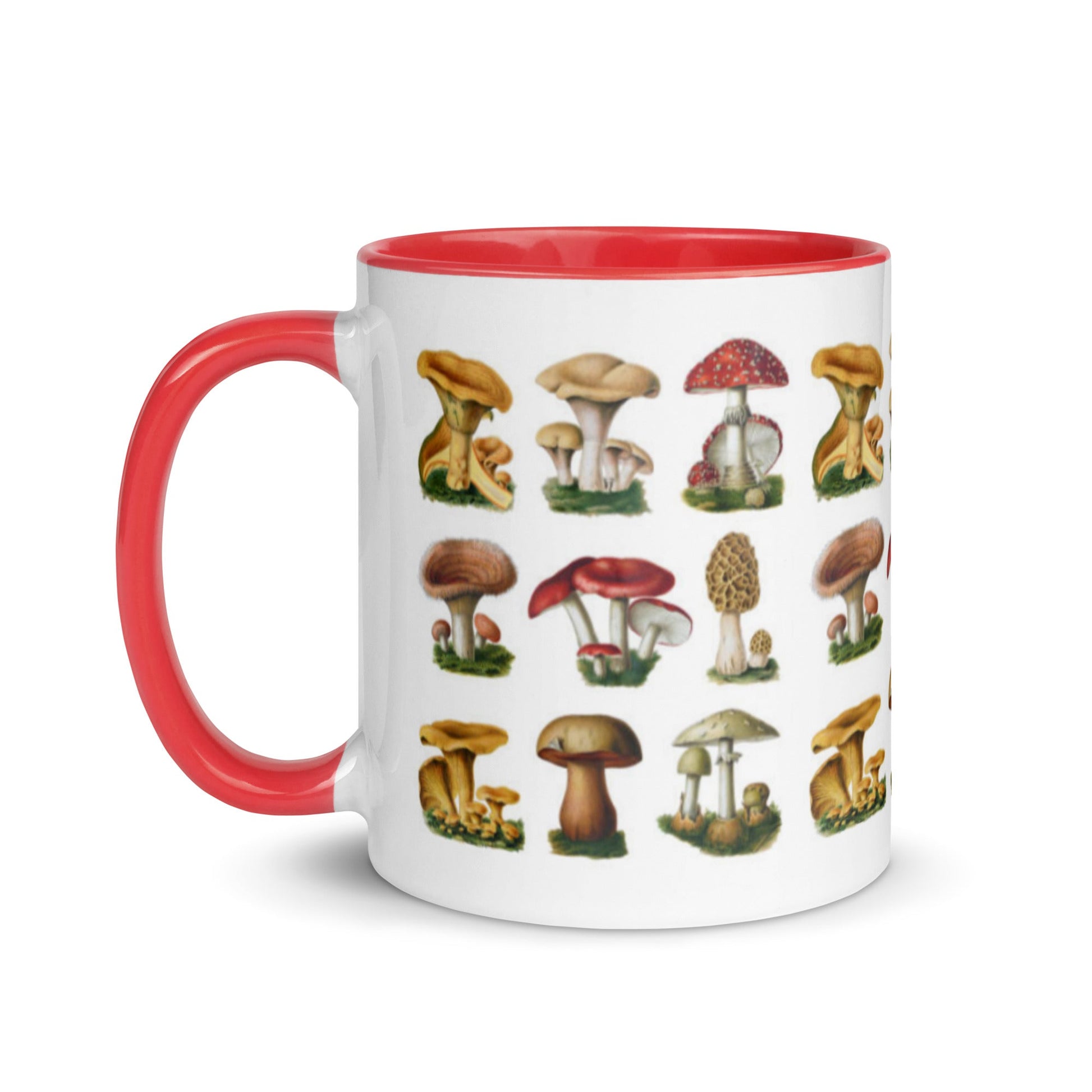 Colorful Mushrooms Mug - Humble Mushrooms