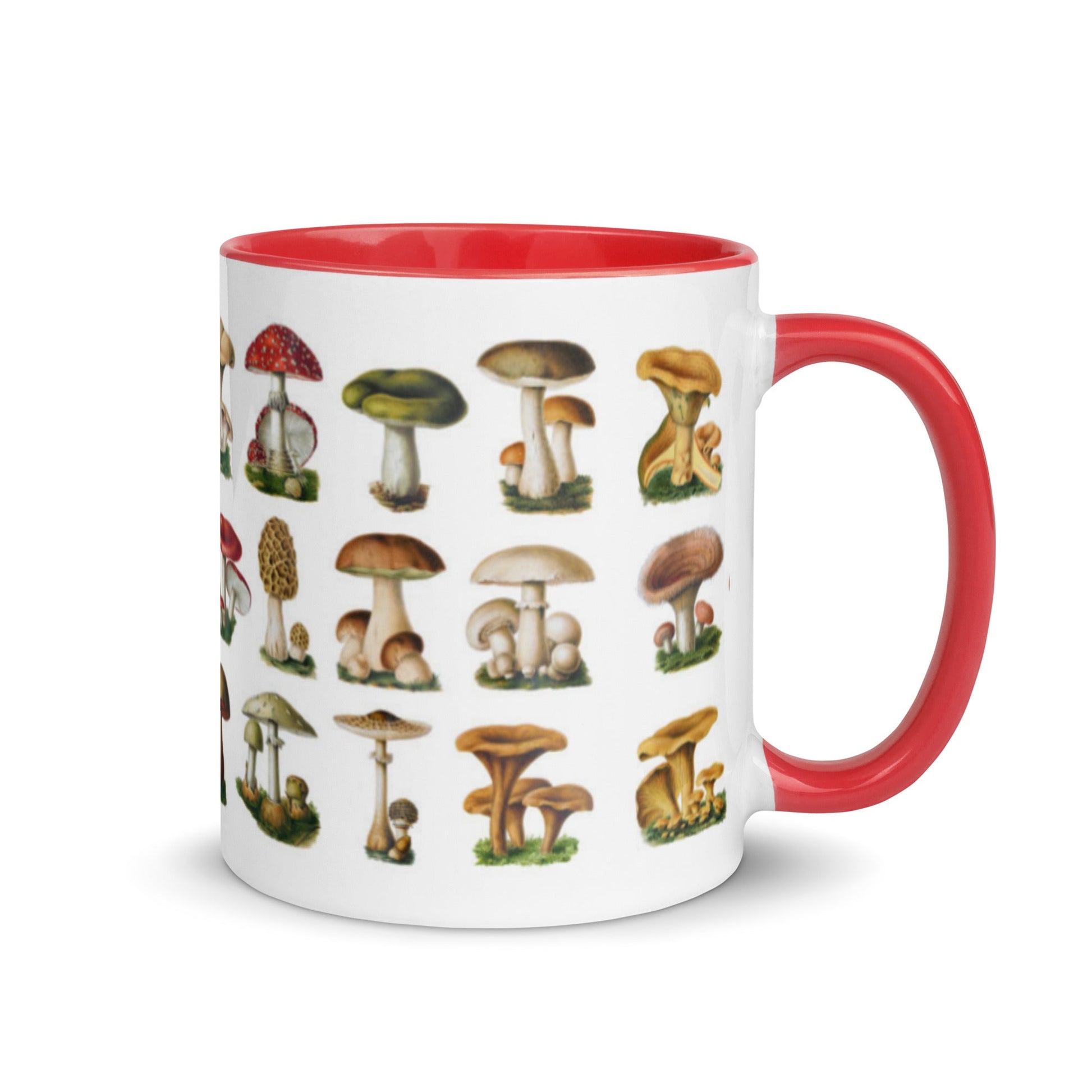Colorful Mushrooms Mug - Humble Mushrooms