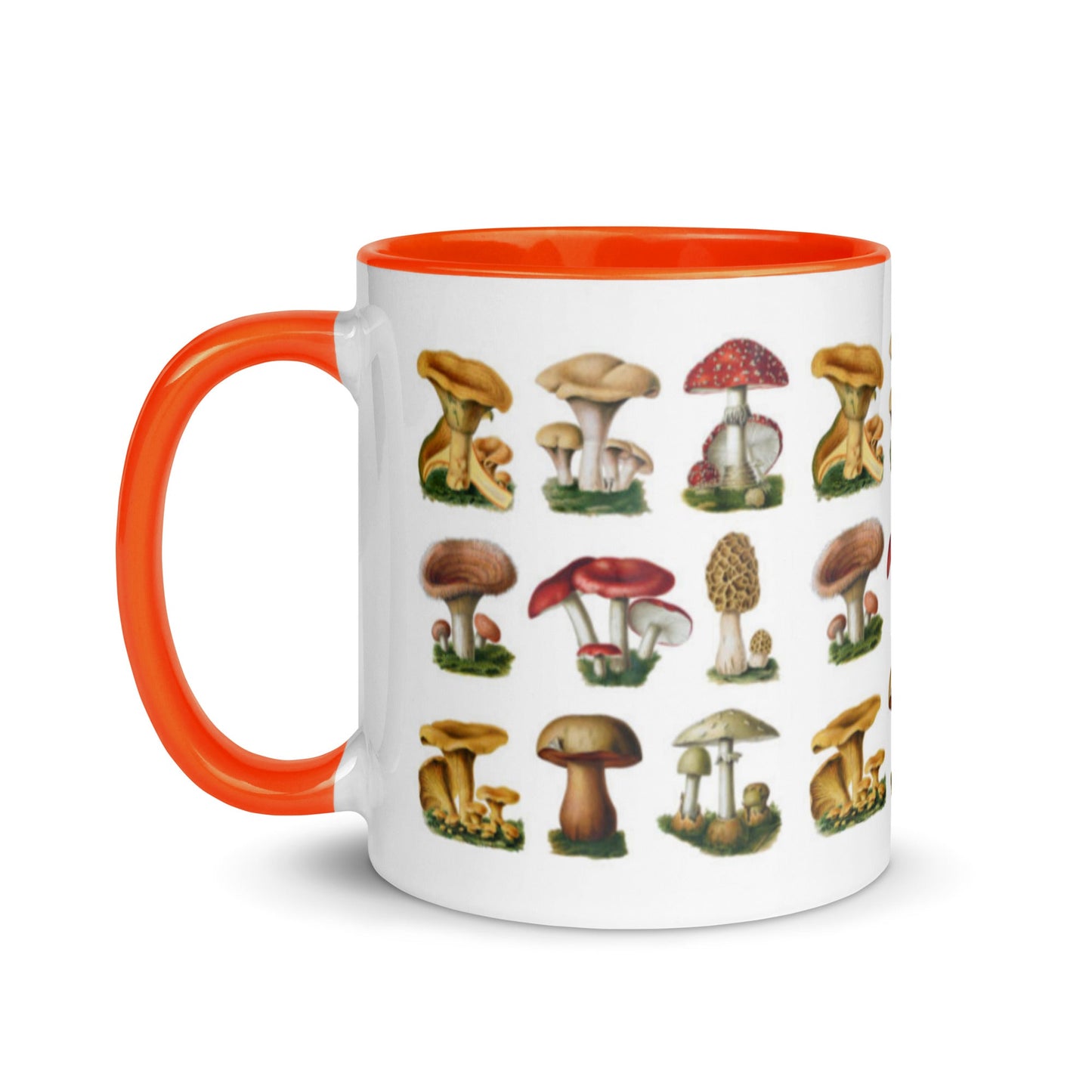 Colorful Mushrooms Mug - Humble Mushrooms