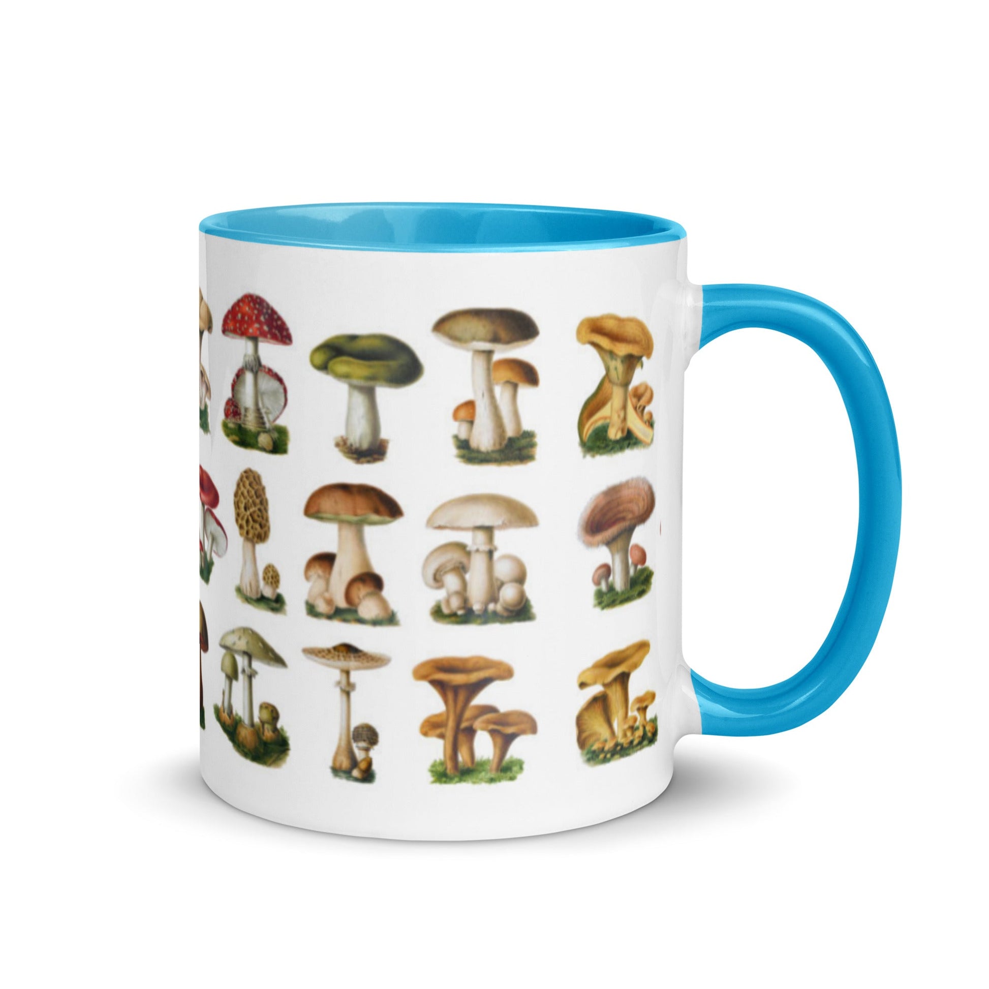 Colorful Mushrooms Mug - Humble Mushrooms