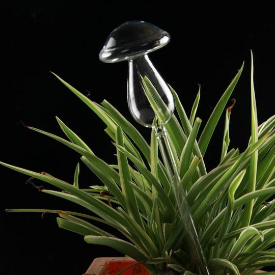 Mushroom Self Watering Glass - Humble Mushrooms