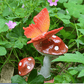 Small Mushroom Home Decoration Colorful Garden Art Resin Artifact - Humble Mushrooms